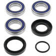 QuadBoss 97-01 Honda TRX250 FourTrax Recon Rear ATV Wheel Bearing & Seal Kit QuadBoss Wheel Bearings  AXOPROS