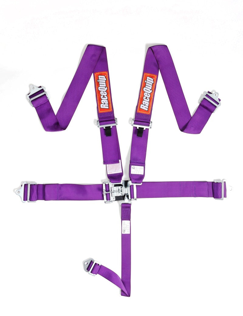RaceQuip Purple L & L 5pt Seat Belt Racequip Seat Belts & Harnesses  AXOPROS