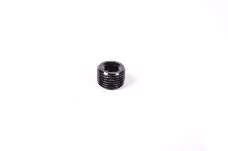 Radium Engineering 1/8in NPT Plug Radium Engineering Fittings  AXOPROS