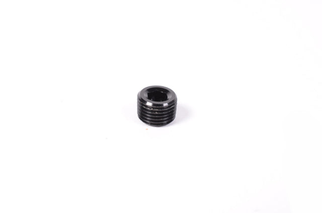 Radium Engineering 1/8in NPT Plug Radium Engineering Fittings  AXOPROS