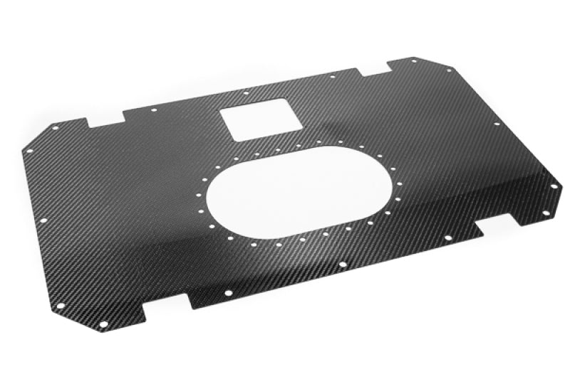 Radium Engineering Carbon Fiber Fuel Cell Lid - 10/14 Gallon Radium Engineering Fuel Tanks  AXOPROS