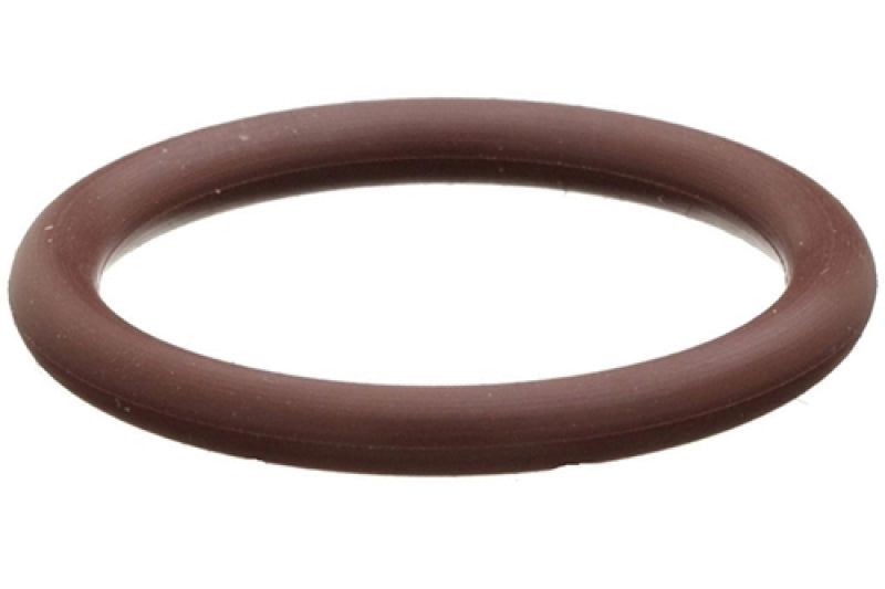 Radium Engineering O-Ring 5-Pack 6AN Viton Radium Engineering O-Rings  AXOPROS