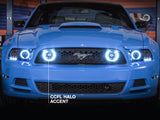Raxiom 13-14 Ford Mustang GT CCFL Halo Fog Lights (Smoked) Raxiom Headlights  AXOPROS