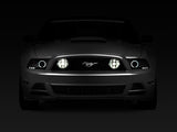 Raxiom 13-14 Ford Mustang GT CCFL Halo Fog Lights (Smoked) Raxiom Headlights  AXOPROS