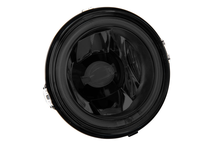 Raxiom 13-14 Ford Mustang GT CCFL Halo Fog Lights (Smoked) Raxiom Headlights  AXOPROS