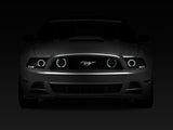 Raxiom 13-14 Ford Mustang GT CCFL Halo Fog Lights (Smoked) Raxiom Headlights  AXOPROS