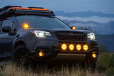 Rigid Industries 360-Series 6in SAE Fog w/ Amber PRO Lens - White (Pair) Rigid Industries Light Bars & Cubes  AXOPROS
