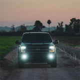 Rigid Industries D-Series SAE Fog Yellow/White Pair Rigid Industries Light Bars & Cubes  AXOPROS
