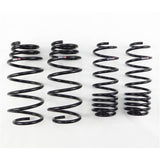 RS-R 09-13 Honda Fit (GE8) Super Down Springs RS-R Lowering Springs  AXOPROS
