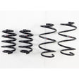 RS-R 11+ Nissan Juke 4WD (NF15) Down Sus Springs RS-R Lowering Springs  AXOPROS