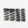 RS-R 14+ Lexus RC-F / 2016 GS-F Down Sus Springs RS-R Lowering Springs  AXOPROS
