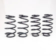 RS-R 2021+ Toyota Sienna Hybrid AWD/FWD Down Sus Springs RS-R Lowering Springs  AXOPROS