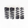 RS-R 2022 Lexus IS500 Down Sus Springs RS-R Lowering Springs  AXOPROS