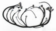 Rywire 92-95 Honda Civic w/B-Series / 94-01 Acura Integra (LHD Only) OEM Replacement Engine Harness Rywire Wiring Harnesses  AXOPROS