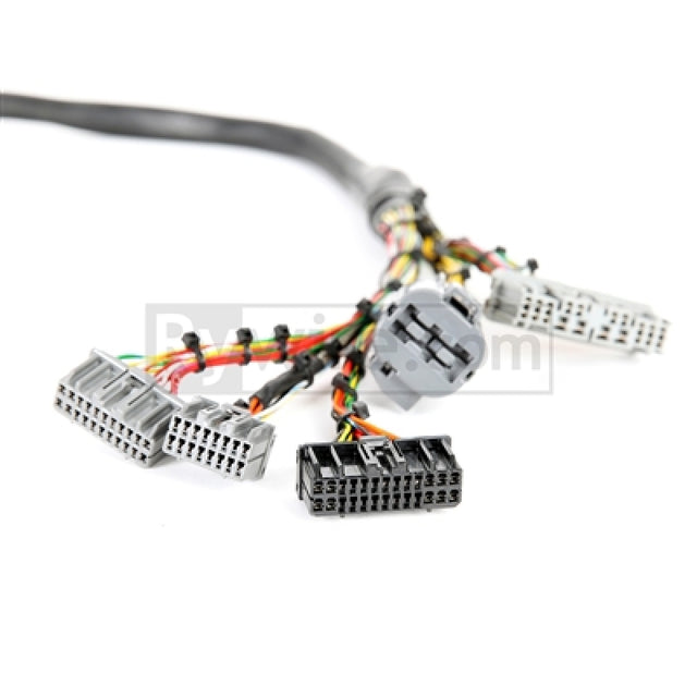 Rywire Honda B/D-Series Mil-Spec Eng Harness w/OBD1 Dist/Inj/Alternator & 92-95 Plugs (Adapter Req) Rywire Wiring Harnesses  AXOPROS