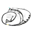 Rywire Honda K-Series Tucked Budget Engine Harness w/OBD2 02-04 RSX K20 Sensor/Headlights VSS Rywire Wiring Harnesses  AXOPROS