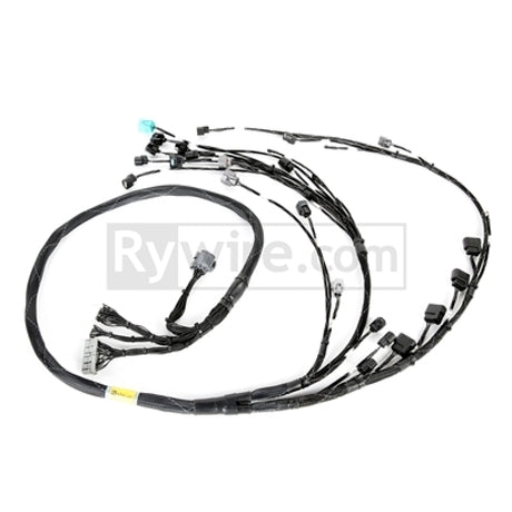Rywire Honda K24 Tucked Eng Harn w/02-04 K24 Crank/Knock Sensor (Front VSS Position) Rywire Wiring Harnesses  AXOPROS