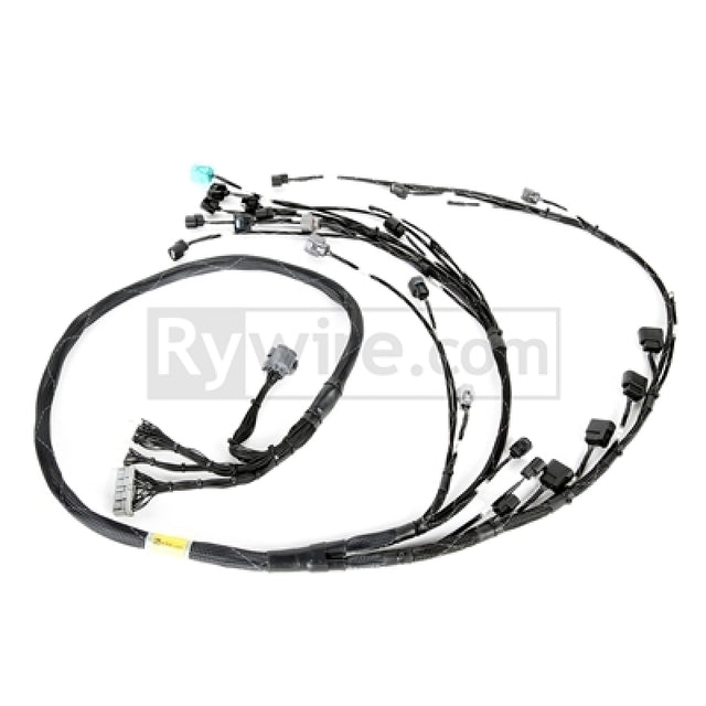 Rywire Honda K24 Tucked Eng Harn w/02-04 K24 Crank/Knock Sensor (Rear VSS Position) Rywire Wiring Harnesses  AXOPROS