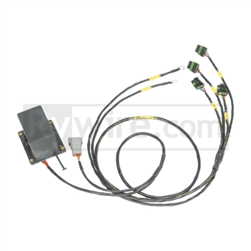 Rywire IGBT (AEM/IGN-1A) Coil Sub-Harness for 2 Rotor Engines Rywire Wiring Harnesses  AXOPROS