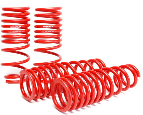Skunk2 94-01 Acura Integra Lowering Springs (2.50in - 2.25in.) (Set of 4) Skunk2 Racing Lowering Springs  AXOPROS