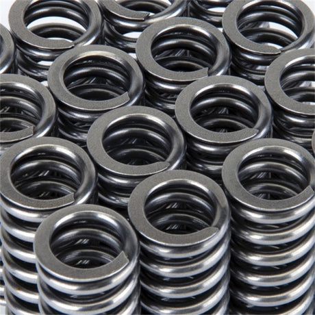Skunk2 Alpha Series Honda D Series VTEC Valve Spring Set Skunk2 Racing Valve Springs, Retainers  AXOPROS