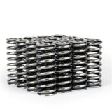 Skunk2 Alpha Series Honda D Series VTEC Valve Spring Set Skunk2 Racing Valve Springs, Retainers  AXOPROS