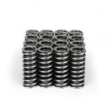 Skunk2 Alpha Series Honda D Series VTEC Valve Spring Set Skunk2 Racing Valve Springs, Retainers  AXOPROS