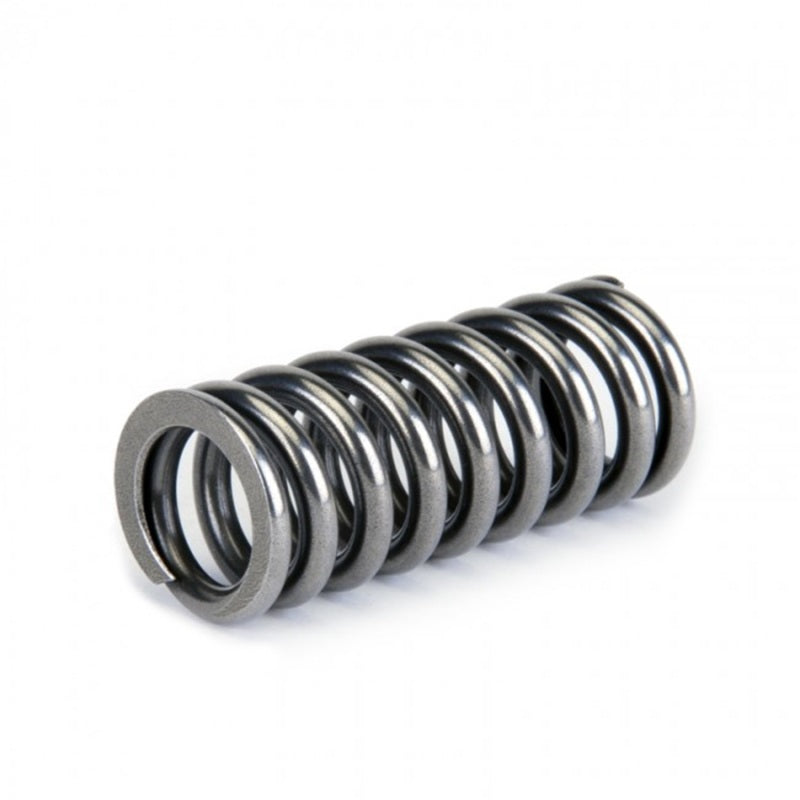 Skunk2 Alpha Series Honda D Series VTEC Valve Spring Set Skunk2 Racing Valve Springs, Retainers  AXOPROS