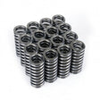Skunk2 Alpha Series Honda D Series VTEC Valve Spring Set Skunk2 Racing Valve Springs, Retainers  AXOPROS