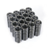 Skunk2 Alpha Series Honda D Series VTEC Valve Spring Set Skunk2 Racing Valve Springs, Retainers  AXOPROS