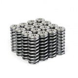 Skunk2 Alpha Series Honda/Acura D Series Valve Spring and Titanium Retainer Kit Skunk2 Racing Valve Springs, Retainers  AXOPROS