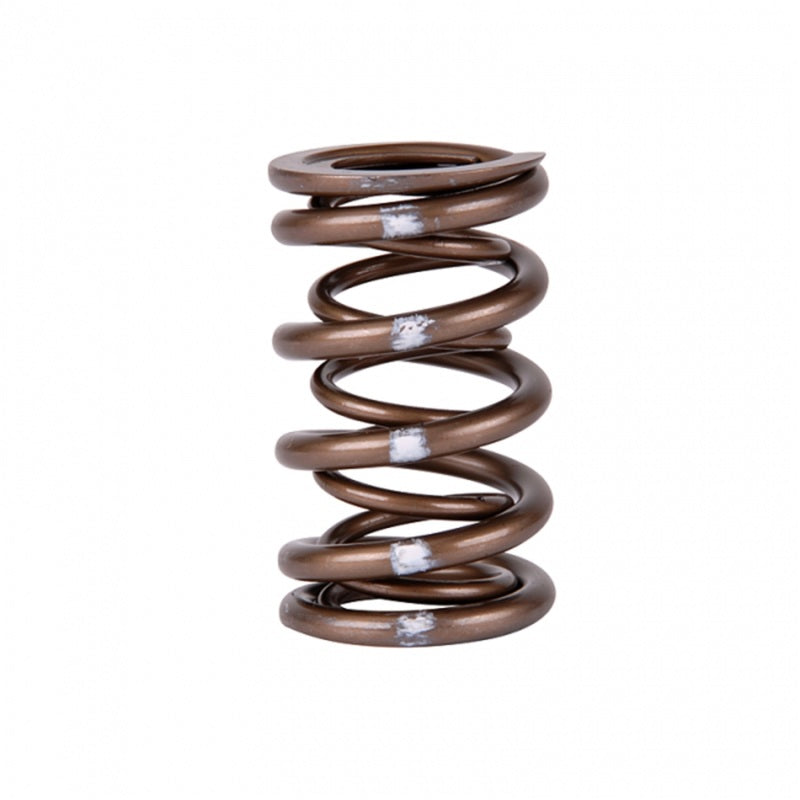 Skunk2 Pro Series Honda/Acura B-Series VTEC XP Valve Spring Set (Dual Springs) Skunk2 Racing Valve Springs, Retainers  AXOPROS