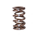 Skunk2 Pro Series Honda/Acura B-Series VTEC XP Valve Spring Set (Dual Springs) Skunk2 Racing Valve Springs, Retainers  AXOPROS
