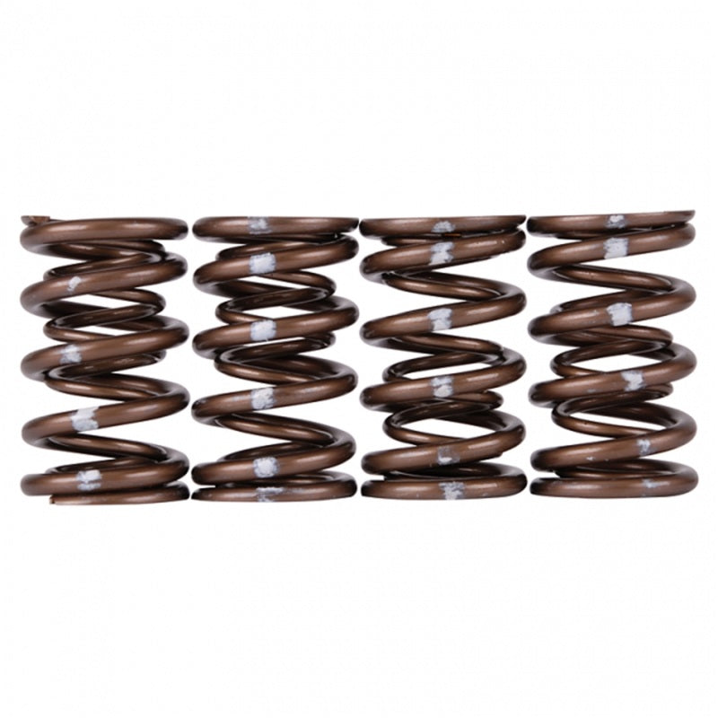 Skunk2 Pro Series Honda/Acura B-Series VTEC XP Valve Spring Set (Dual Springs) Skunk2 Racing Valve Springs, Retainers  AXOPROS