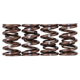 Skunk2 Pro Series Honda/Acura B-Series VTEC XP Valve Spring Set (Dual Springs) Skunk2 Racing Valve Springs, Retainers  AXOPROS
