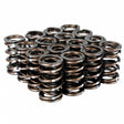 Skunk2 Pro Series Honda/Acura B-Series VTEC XP Valve Spring Set (Dual Springs) Skunk2 Racing Valve Springs, Retainers  AXOPROS