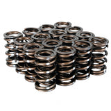 Skunk2 Pro Series Honda/Acura B-Series VTEC XP Valve Spring Set (Dual Springs) Skunk2 Racing Valve Springs, Retainers  AXOPROS