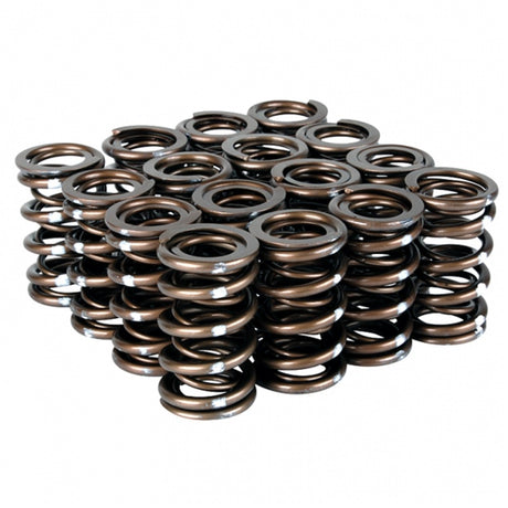 Skunk2 Pro Series Honda/Acura B-Series VTEC XP Valve Spring Set (Dual Springs) Skunk2 Racing Valve Springs, Retainers  AXOPROS