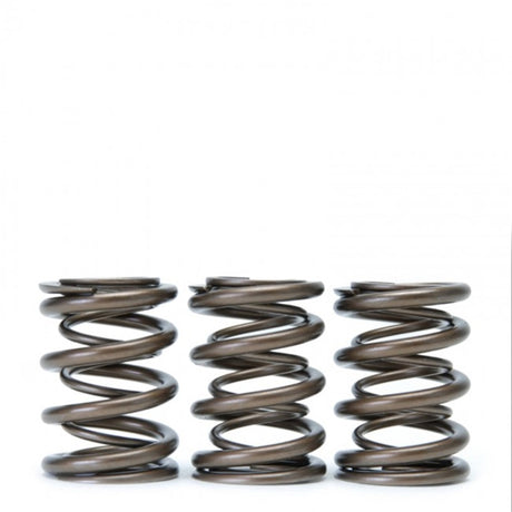 Skunk2 Tuner Series Honda/Acura (H22A/F20B) DOHC VTEC Alpha Valve Spring Set (Dual Springs) Skunk2 Racing Valve Springs, Retainers  AXOPROS