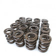 Skunk2 Tuner Series Honda/Acura (K20/K24/F20C/F22C) DOHC VTEC Alpha Valve Spring Set (Dual Springs) Skunk2 Racing Valve Springs, Retainers  AXOPROS