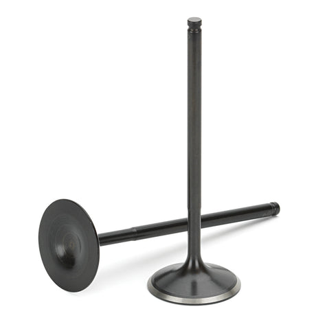 Supertech Audi/VW 2.5T FSI Black Nitrided Intake Valves 33.85mm(std) Head Dia. - Set of 10 Supertech Valves  AXOPROS