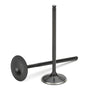 Supertech Audi/VW 2.5T FSI Black Nitrided Intake Valves 33.85mm(std) Head Dia. - Set of 10 Supertech Valves  AXOPROS
