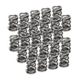 Supertech BMW M50/M52/S50/S52 Dual Valve Spring - Set of 24 Supertech Valve Springs, Retainers  AXOPROS