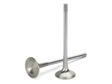 Supertech Nissan VG30DE/VG30DET Inconel Exhaust Valve - +0.5mm Oversize - Set of 12 Supertech Valves  AXOPROS
