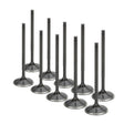 Supertech VW 2.0L 16V 32x6.95x95.5mm Dish Black Nitrided Intake Valve - Set of 10 Supertech Valves  AXOPROS