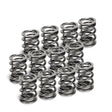 Supertech VW VR6 Dual Valve Spring - Set of 12 Supertech Valve Springs, Retainers  AXOPROS