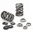 Supertech VW/Audi 1.8T 20V 4cyl Dual Valve Spring Kit Supertech Valve Springs, Retainers  AXOPROS
