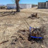 Superwinch 4000 LBS 12V DC 3/16in x 50ft Synthetic Rope Winch2Go Superwinch Winches  AXOPROS