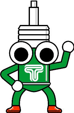 Tein Damper Keychain with Wrench - Green/Black Tein Tools  AXOPROS
