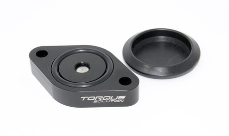 Torque Solution Sound Symposer Delete 2013+ Ford Focus ST Torque Solution Block Off Plates  AXOPROS